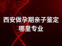 西安做孕期亲子鉴定哪里专业