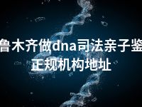 乌鲁木齐做dna司法亲子鉴定正规机构地址