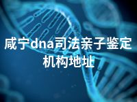 咸宁dna司法亲子鉴定机构地址