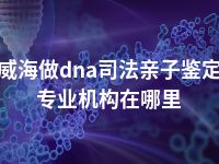 威海做dna司法亲子鉴定专业机构在哪里