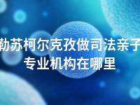 克孜勒苏柯尔克孜做司法亲子鉴定专业机构在哪里