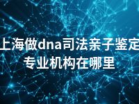 上海做dna司法亲子鉴定专业机构在哪里