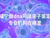 咸宁做dna司法亲子鉴定专业机构在哪里