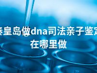 秦皇岛做dna司法亲子鉴定在哪里做