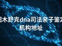 图木舒克dna司法亲子鉴定机构地址