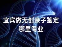 宜宾做无创亲子鉴定哪里专业