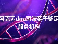 阿克苏dna司法亲子鉴定服务机构