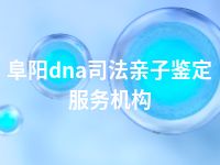 阜阳dna司法亲子鉴定服务机构