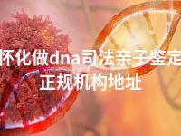 怀化做dna司法亲子鉴定正规机构地址