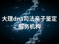 大理dna司法亲子鉴定服务机构