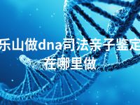 乐山做dna司法亲子鉴定在哪里做