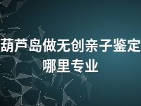 葫芦岛做无创亲子鉴定哪里专业