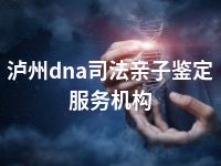 泸州dna司法亲子鉴定服务机构