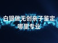 白银做无创亲子鉴定哪里专业