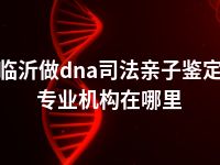 临沂做dna司法亲子鉴定专业机构在哪里