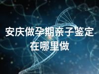 安庆做孕期亲子鉴定在哪里做