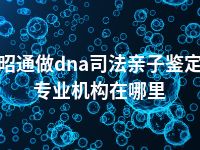 昭通做dna司法亲子鉴定专业机构在哪里