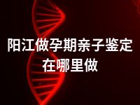 阳江做孕期亲子鉴定在哪里做