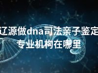 辽源做dna司法亲子鉴定专业机构在哪里