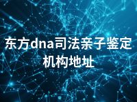 东方dna司法亲子鉴定机构地址