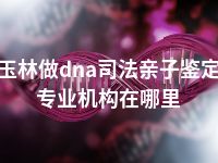 玉林做dna司法亲子鉴定专业机构在哪里