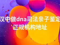 汉中做dna司法亲子鉴定正规机构地址