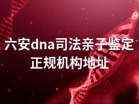 六安dna司法亲子鉴定正规机构地址