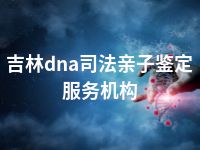 吉林dna司法亲子鉴定服务机构