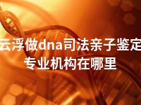 云浮做dna司法亲子鉴定专业机构在哪里