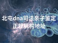 北屯dna司法亲子鉴定正规机构地址