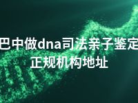 巴中做dna司法亲子鉴定正规机构地址