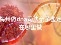 梅州做dna司法亲子鉴定在哪里做