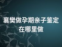 襄樊做孕期亲子鉴定在哪里做