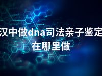 汉中做dna司法亲子鉴定在哪里做