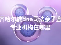 齐齐哈尔做dna司法亲子鉴定专业机构在哪里