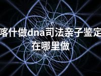 喀什做dna司法亲子鉴定在哪里做