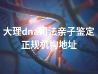 大理dna司法亲子鉴定正规机构地址