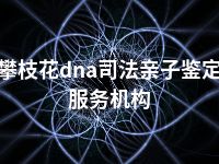 攀枝花dna司法亲子鉴定服务机构