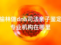 榆林做dna司法亲子鉴定专业机构在哪里