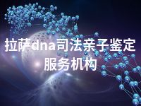 拉萨dna司法亲子鉴定服务机构