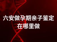 六安做孕期亲子鉴定在哪里做