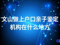 文山做上户口亲子鉴定机构在什么地方