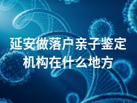 延安做落户亲子鉴定机构在什么地方