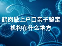 鹤岗做上户口亲子鉴定机构在什么地方