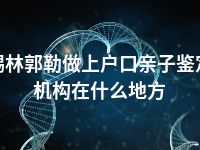 锡林郭勒做上户口亲子鉴定机构在什么地方