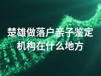 楚雄做落户亲子鉴定机构在什么地方