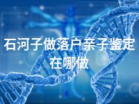 石河子做落户亲子鉴定在哪做