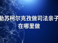 克孜勒苏柯尔克孜做司法亲子鉴定在哪里做