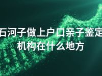 石河子做上户口亲子鉴定机构在什么地方