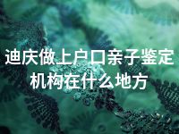 迪庆做上户口亲子鉴定机构在什么地方